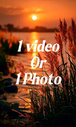 1 video or 1 Photo