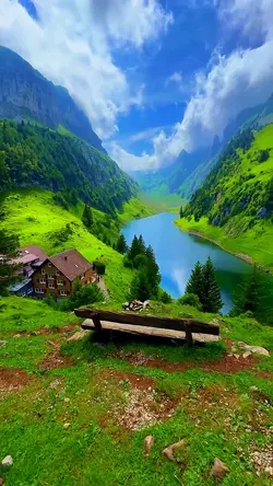 Nature vibes 