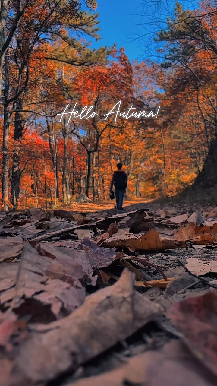 Hallo Herbst 