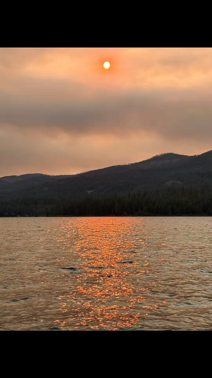 Augest 'in Özeti!