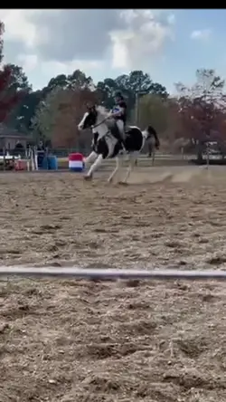 Spirit barrel racing