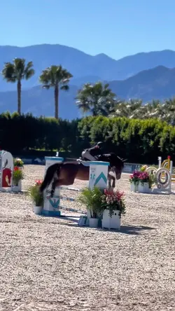 Showjumping slowmo🩵