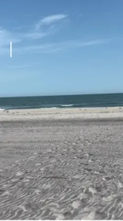Beach Therapy
