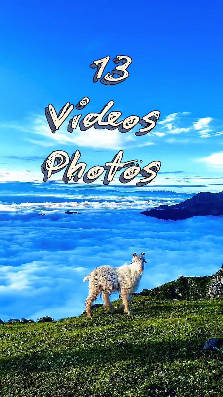 13 videos or photos 