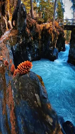 10 new template 2025