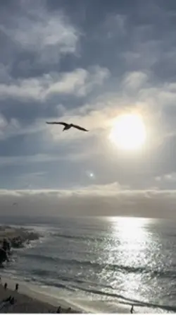 San Diego