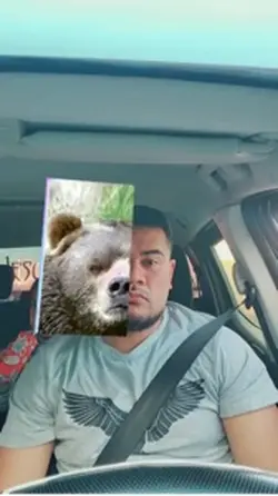 Which animal are you