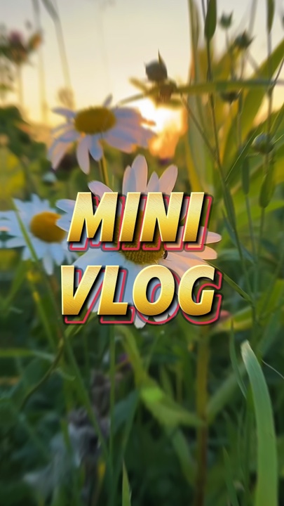 Mini Vlog