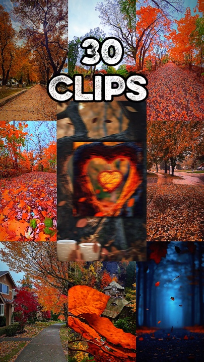30 videos or photos 