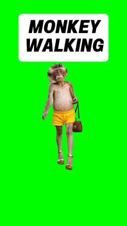 MONKEY WALKING