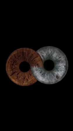 Eyes NEW Trends 👀🤩