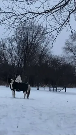 it’s been under 20