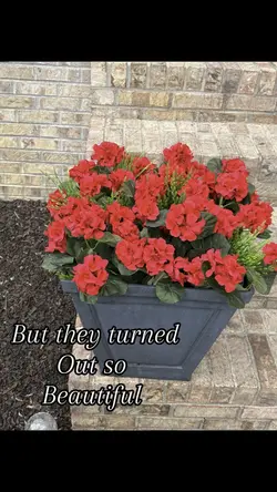 Unboxing Flowers