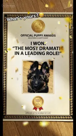 AI gave random award