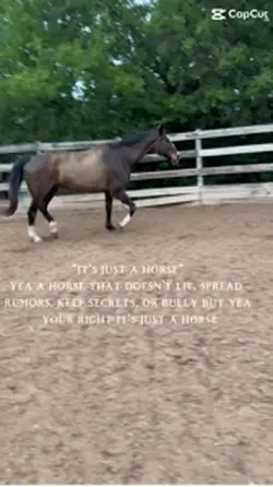 “Just a horse”