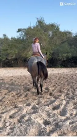 Spinning heh