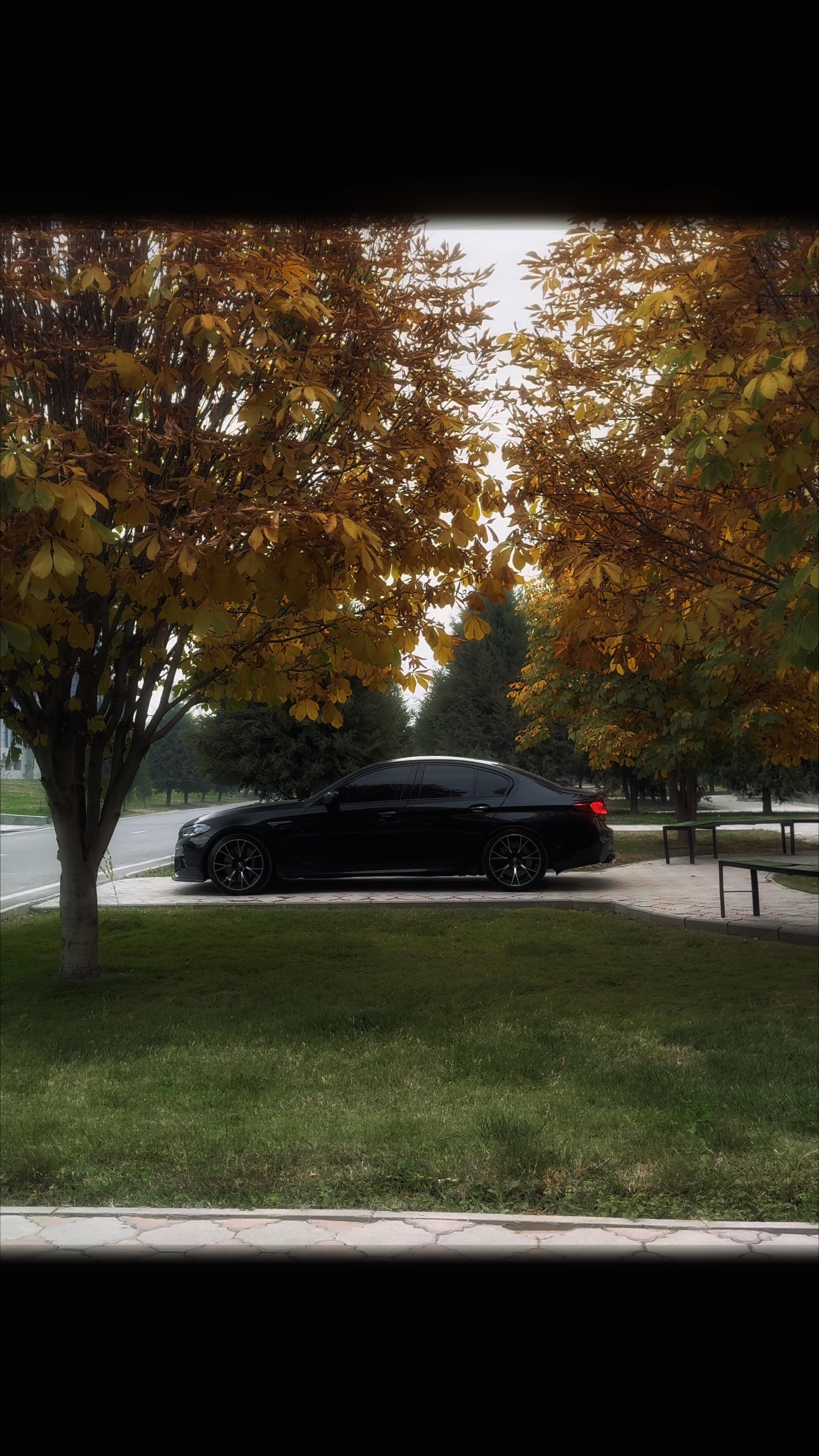 Bmw M5 F90🍂