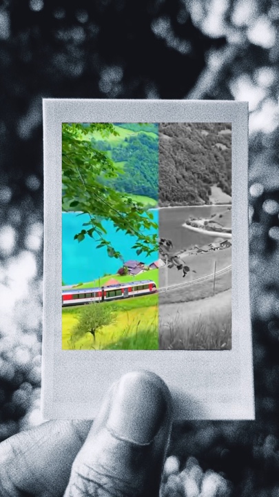 Negro a color