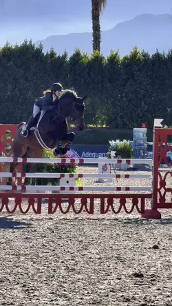 Fall in love remix❤️