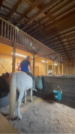 hehe bareback agains