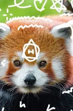 Therian red panda