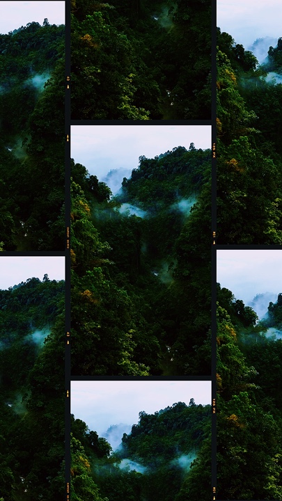 #New #template #song