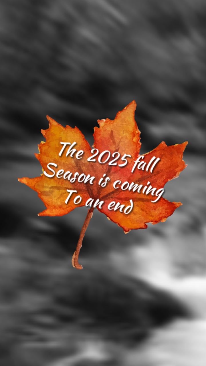 El otoño llega a su fin 