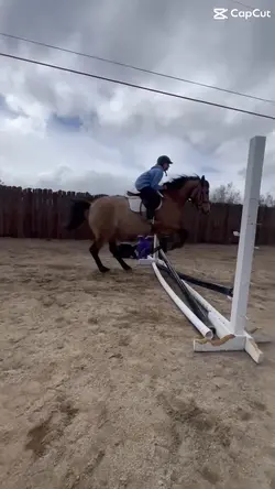 i’m a proud trainer🥹