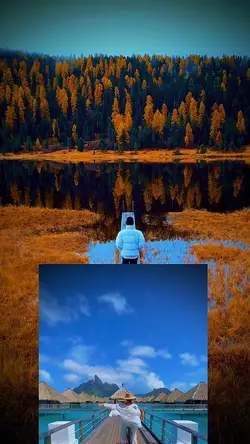 24 new template 2025