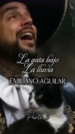 La gata bajo la 🌧️