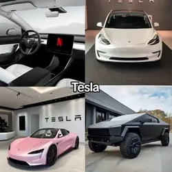 Tesla wanted edit