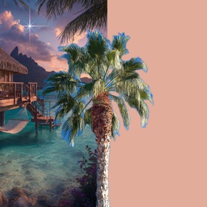 A day in paradise 