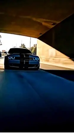 Mustang edit 