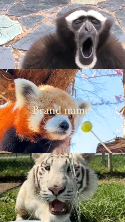 Zoo