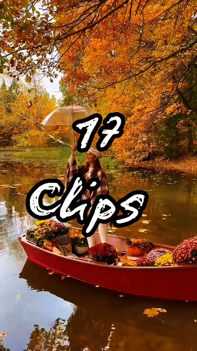 17 Videos O Fotos 