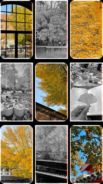 Autumn life