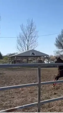 Lil barrel run