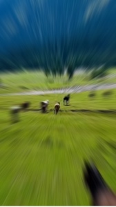 Nouveau modèle 