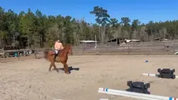 FIRST JUMP IN CANTER