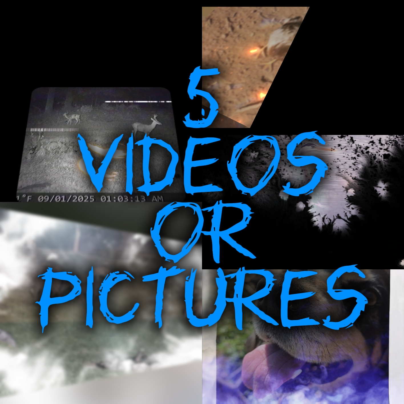 5 video atau gambar
