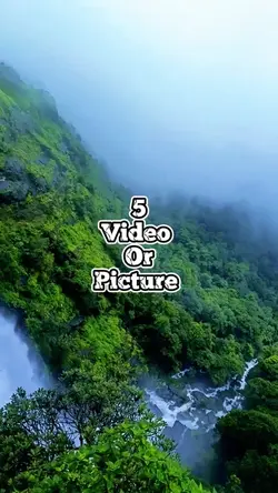 5 video new template