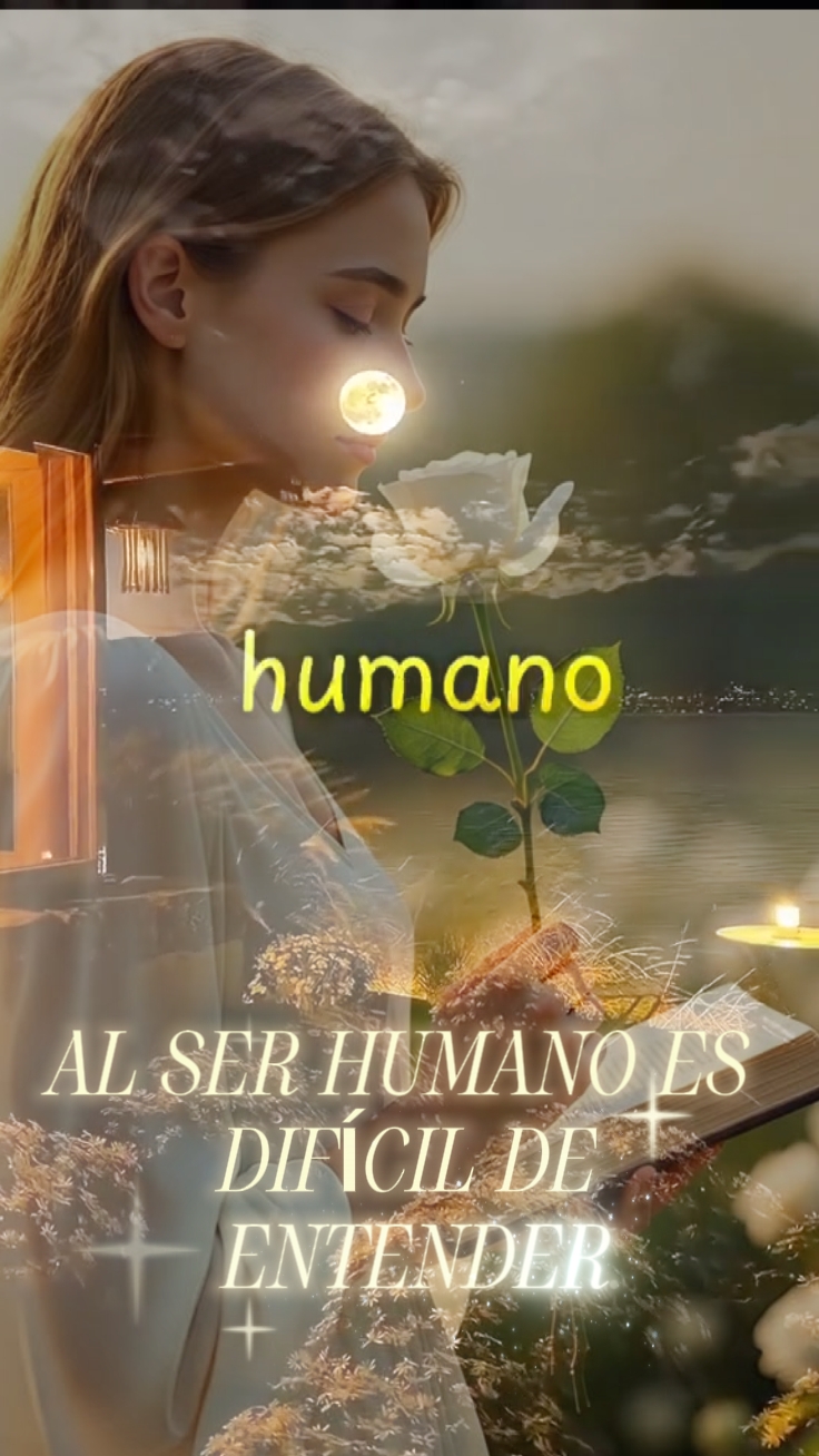 Reflexión de vida. 