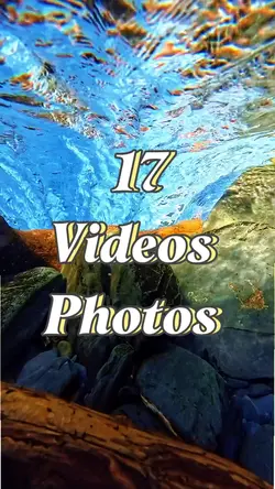 17 Videos Or Photos 