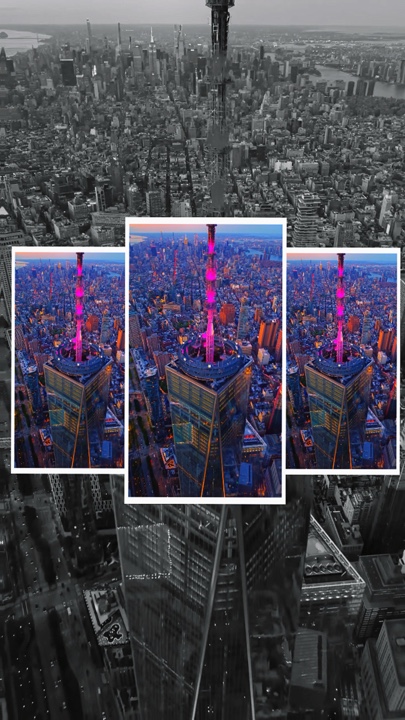 12 clips or photos 