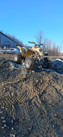 crf80f and trx250ex 