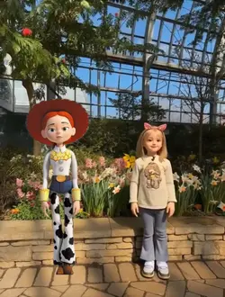 Jessie Dance meme