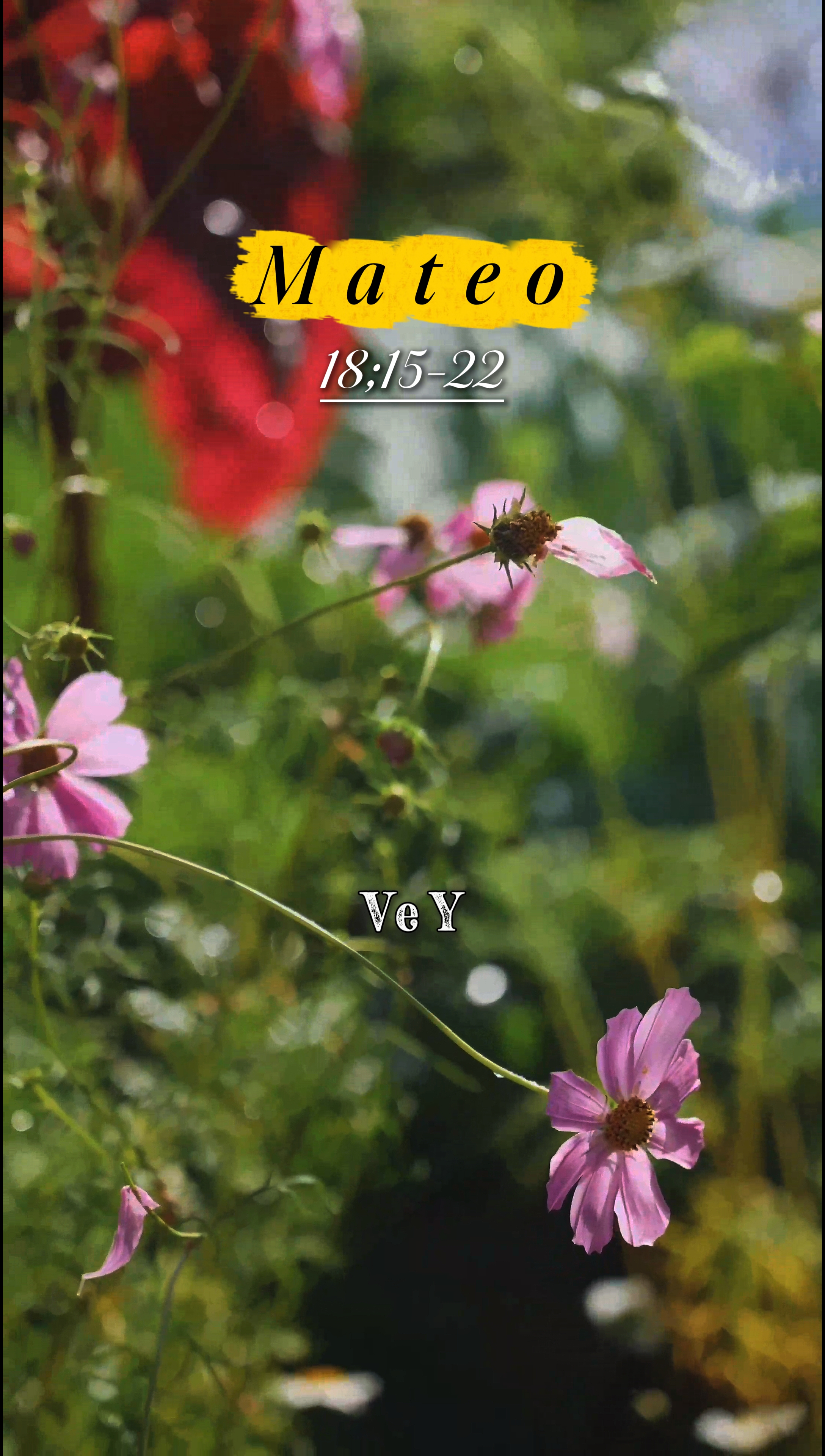 Mateo 18;15-22