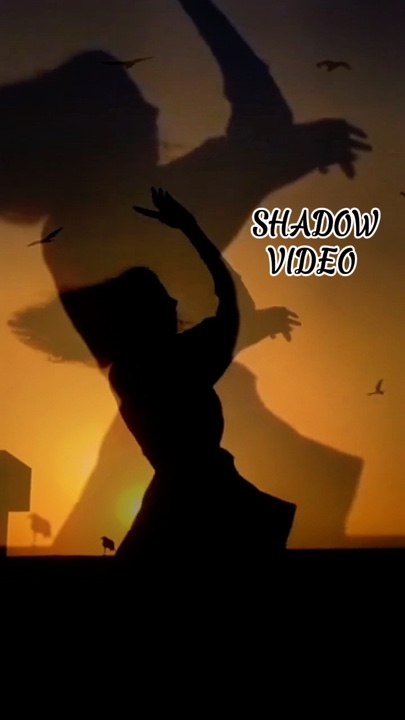 VIDÉO OMBRE 