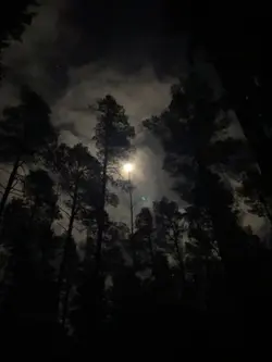 sinking town