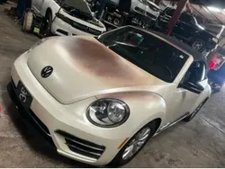 Un poco de color